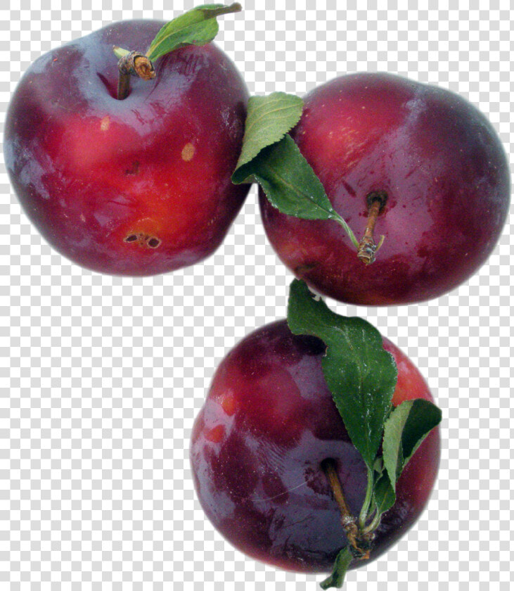 Plums Png Image   Frutti Di Bosco  Transparent PngTransparent PNG