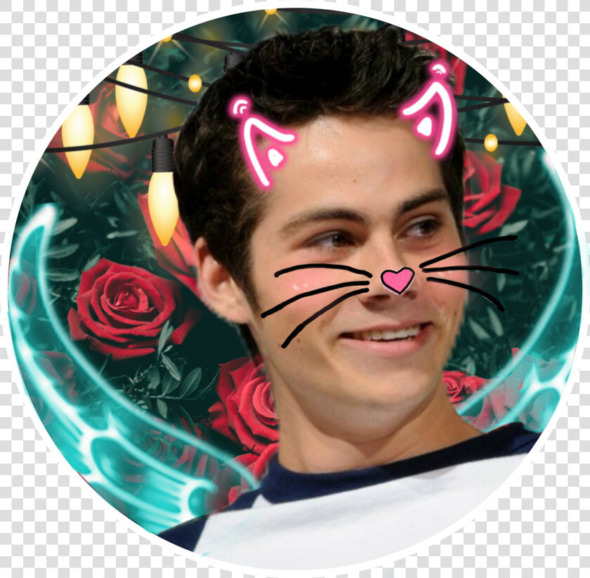  stiles  stilinski   Beautiful Wallpaper On Whatsapp  HD Png DownloadTransparent PNG