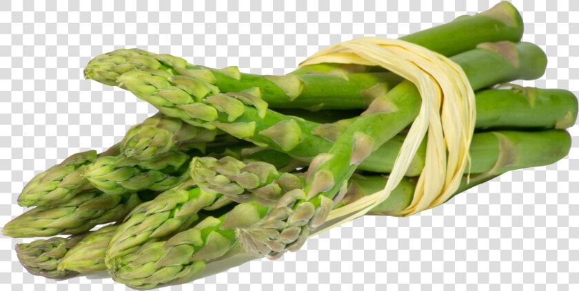 Asparagus Png  Transparent PngTransparent PNG