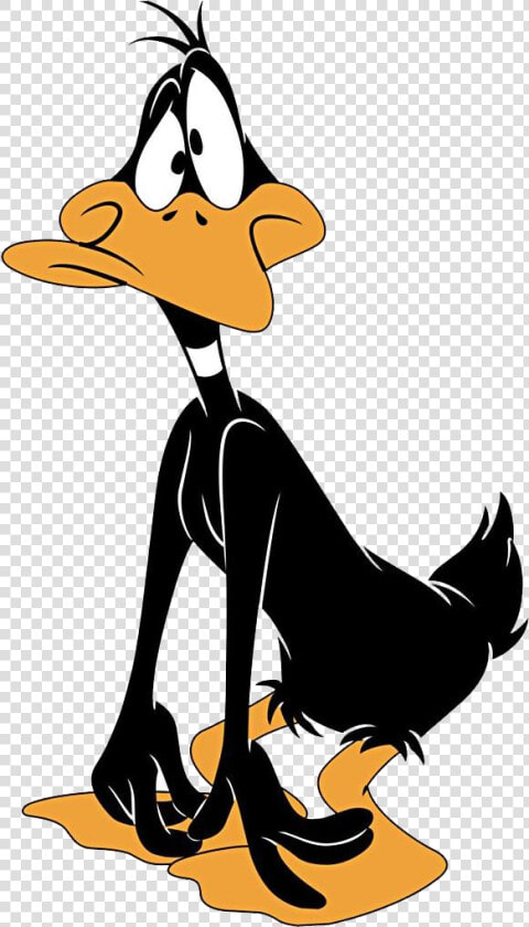 Daffy Duck Cartoons   Daffy Duck  HD Png DownloadTransparent PNG