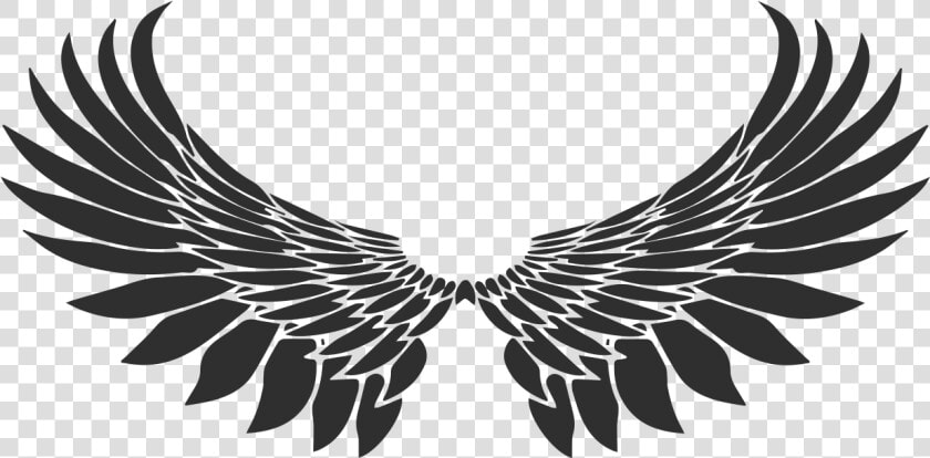 Transparent Bird Wing Png   Wing Tattoo Png  Png DownloadTransparent PNG