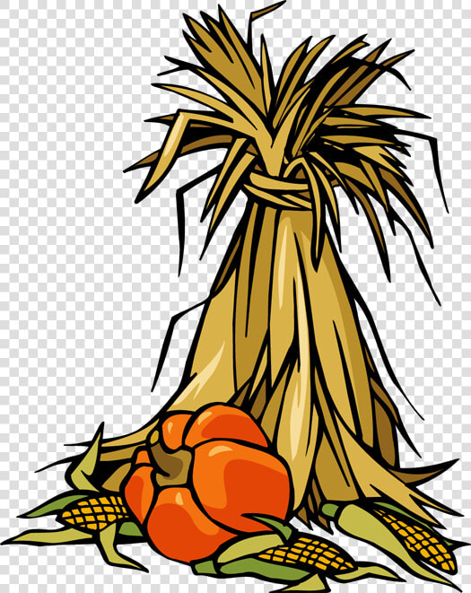 Transparent Corn Stalk Png   Free Clip Art Corn Stalk  Png DownloadTransparent PNG