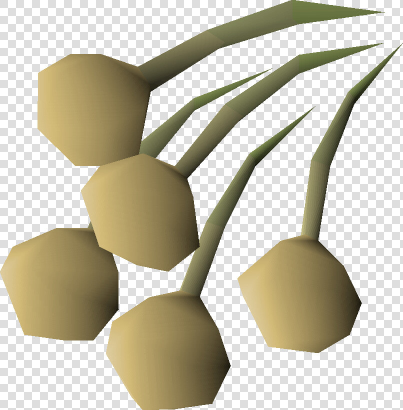 Onion Seed Osrs  HD Png DownloadTransparent PNG