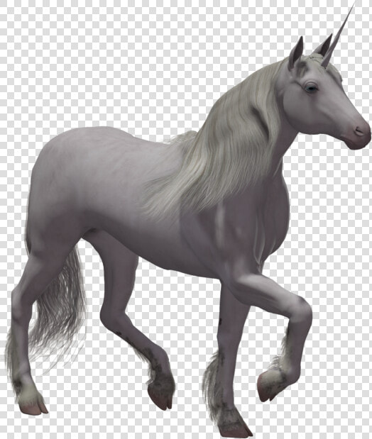 Grab And Download Unicorn Transparent Png File   Real Unicorn With No Background  Png DownloadTransparent PNG