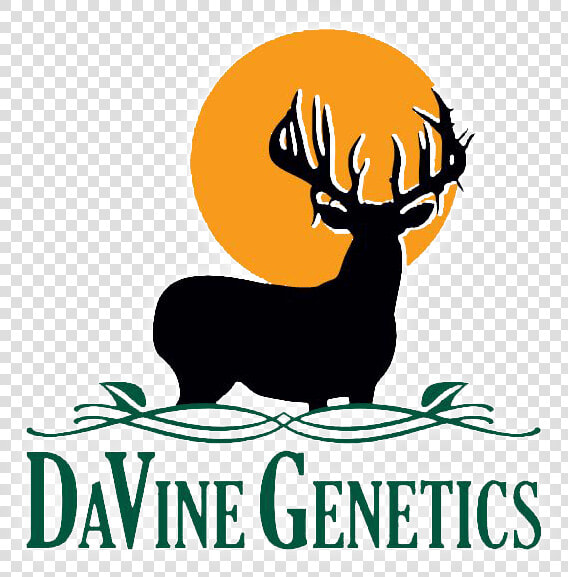 Davine Genetics 2020 Web Logo   Elk  HD Png DownloadTransparent PNG