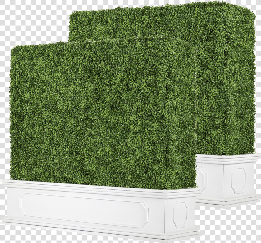 Hedge  HD Png DownloadTransparent PNG