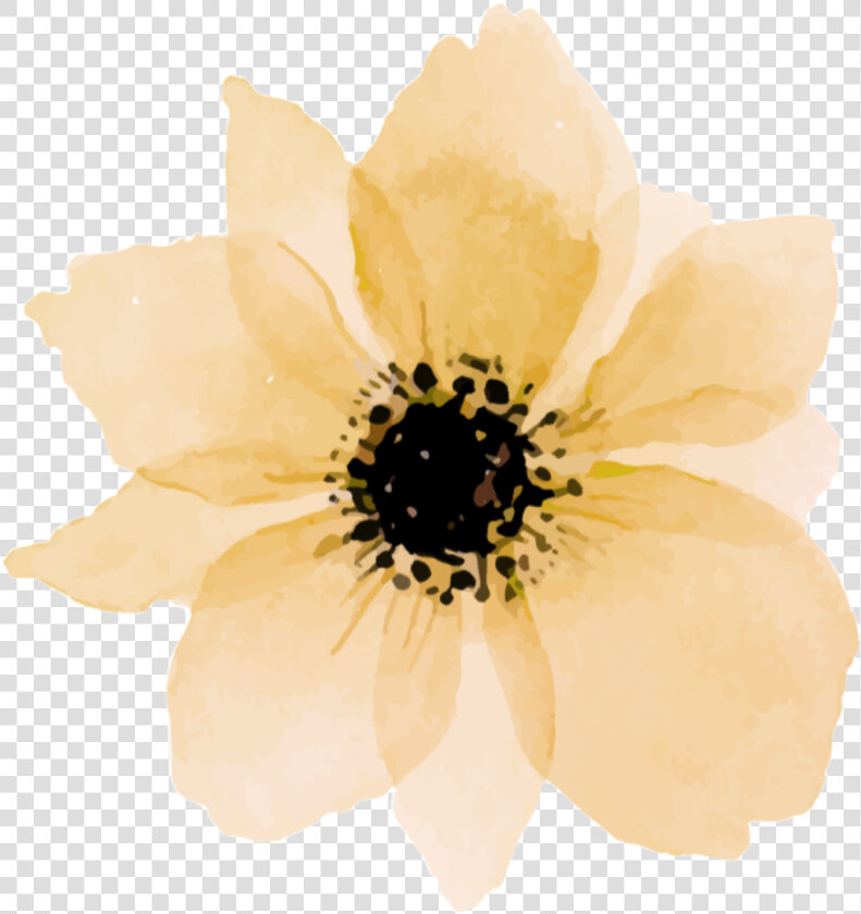  flower  yellow  daisy  yellowflower  nature  paint   Pink Flower Drawing  HD Png DownloadTransparent PNG