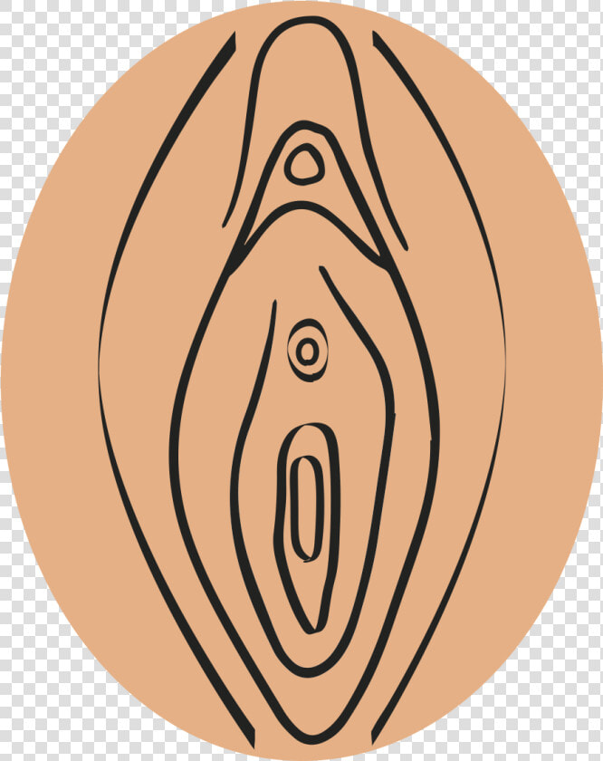 Transparent Vagina Png   Vagina Transparent Png  Png DownloadTransparent PNG