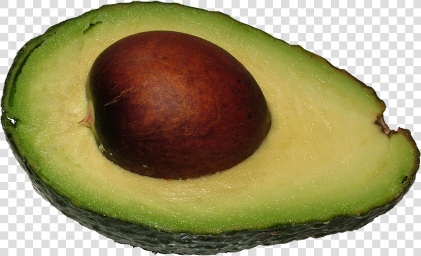 Avocado Png   Avocat Png  Transparent PngTransparent PNG