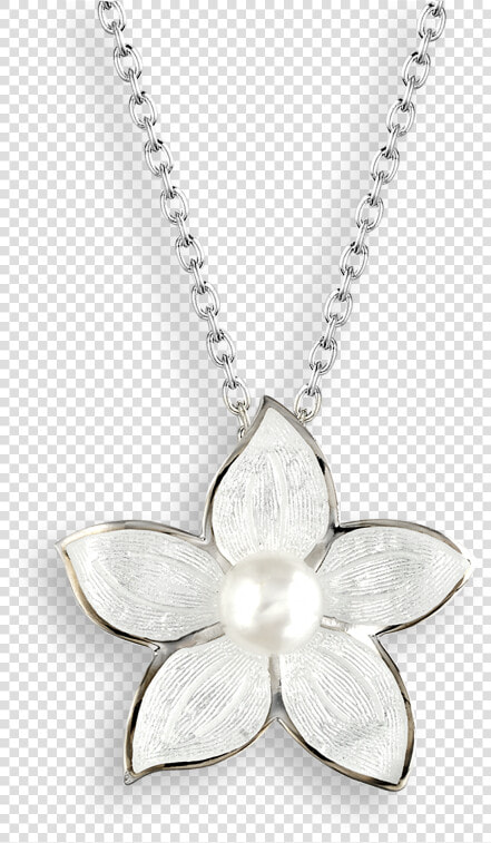 White Sterling Silver Stephanotis Pearl Necklace   Enamel Dragonfly Necklace  HD Png DownloadTransparent PNG