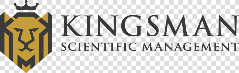 Christ The King School Nottingham Logo  HD Png DownloadTransparent PNG