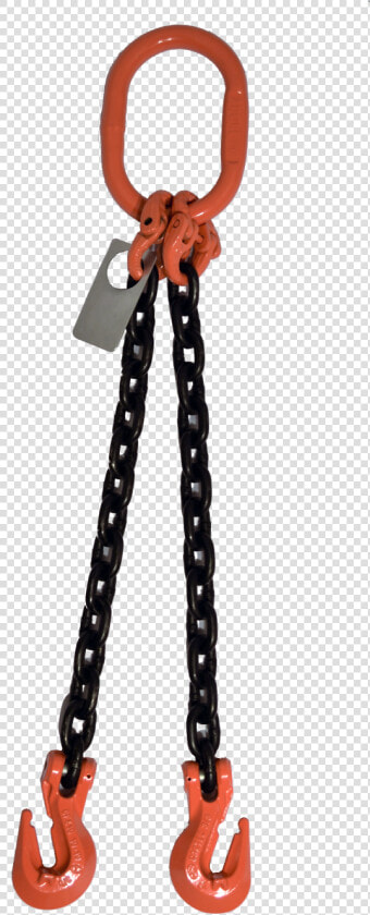 2 Leg With Grab Hook Dog Gr 100 Chain Sling   2 Leg Chain Sling  HD Png DownloadTransparent PNG