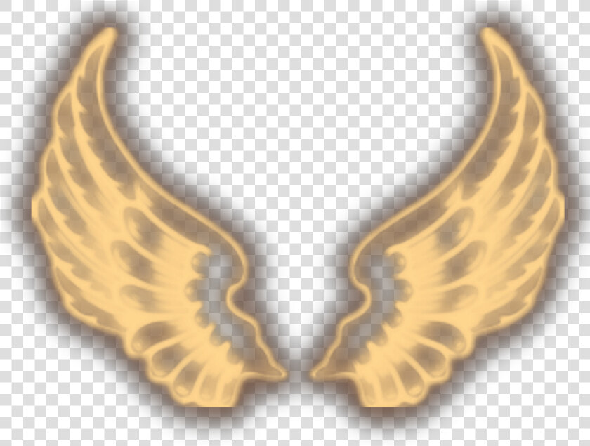  yellow  wings  neon   Transparent Neon Wings Png  Png DownloadTransparent PNG