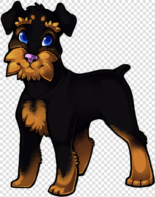 Airedale Terrier  HD Png DownloadTransparent PNG