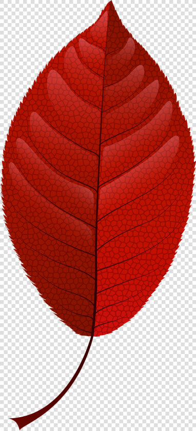 Red Fall Leaf Png Clip Art   Red Fall Leaves Clipart  Transparent PngTransparent PNG