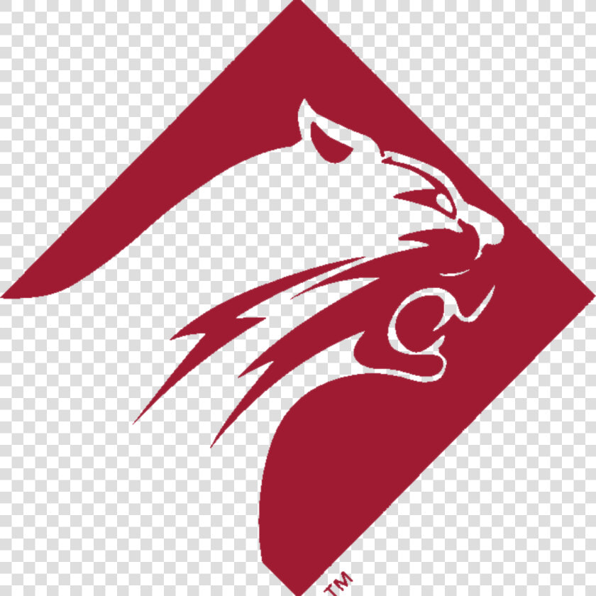 Altoona Area High School Mountain  HD Png DownloadTransparent PNG