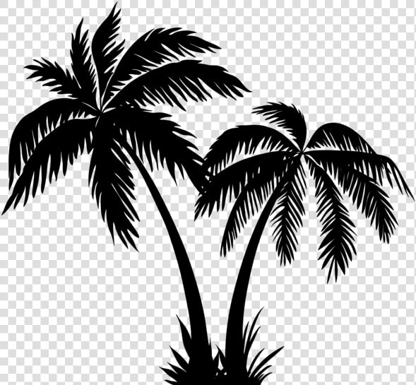 Palms Silhouette Clip Art Png Image   Coconut Tree Clipart Black And White  Transparent PngTransparent PNG