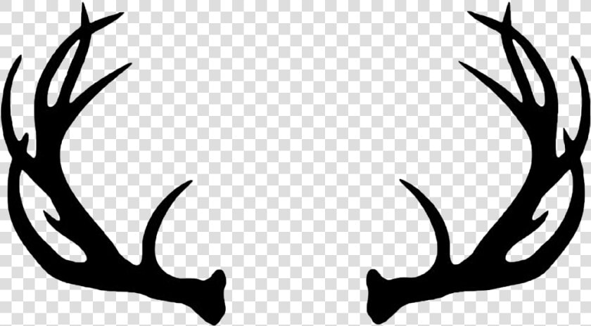 Clip Art With Bow Png   Antler Clipart  Transparent PngTransparent PNG