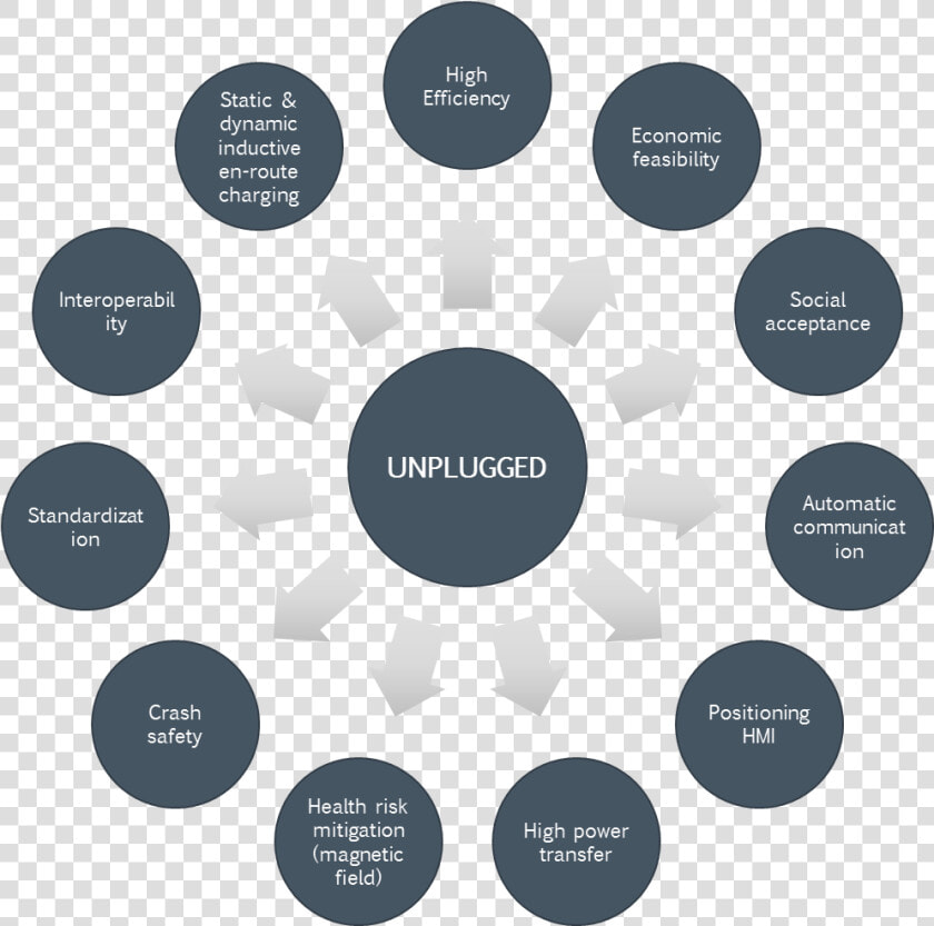 Processes Occur In The Mitochondria  HD Png DownloadTransparent PNG