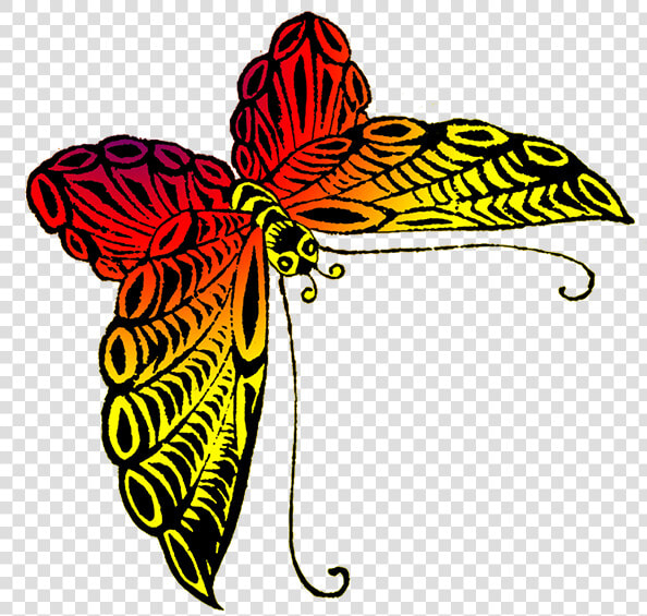 Black Orange Yellow Butterfly   Red Yellow And Black Butterfly Png  Transparent PngTransparent PNG