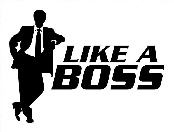 Mta   Like A Boss  HD Png DownloadTransparent PNG