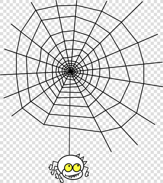 Maths In Spider Webs  HD Png DownloadTransparent PNG