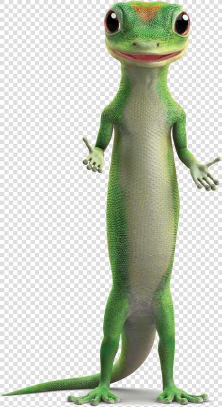 Wall lizard   Geico Lizard  HD Png DownloadTransparent PNG