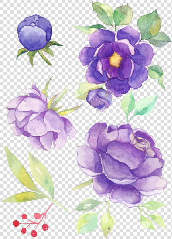 Flores En Acuarela   Floribunda  HD Png DownloadTransparent PNG