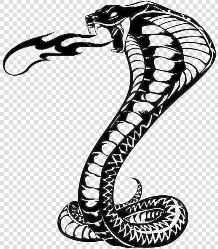 Snake Tattoo Png Background Image   Khon Kaen United F c   Transparent PngTransparent PNG