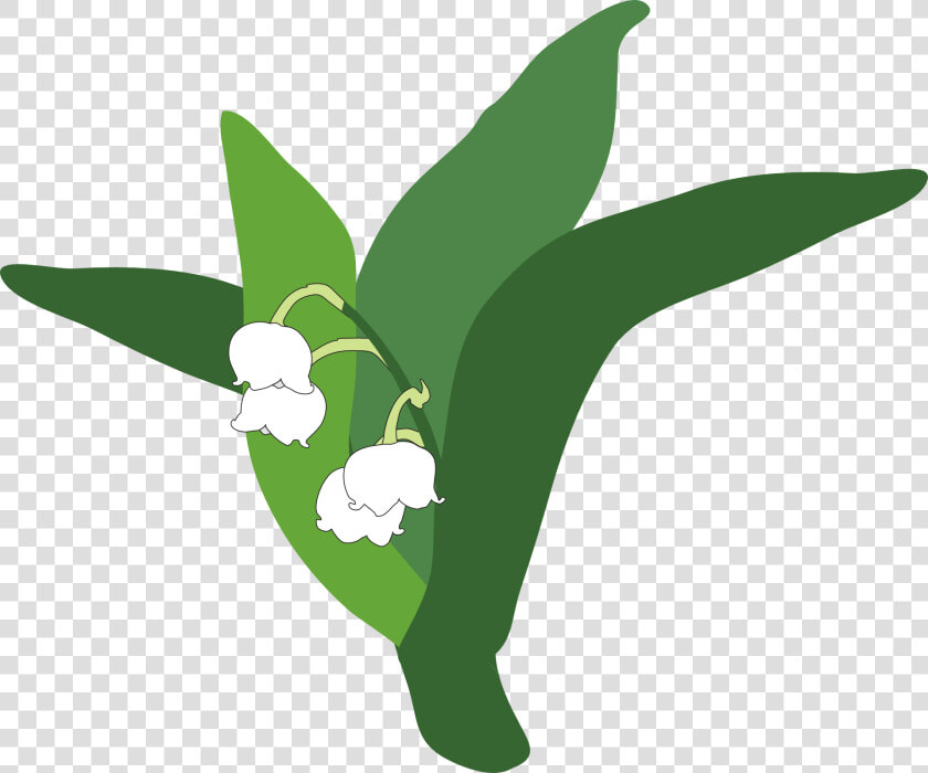 Download Lily Of The Valley Png Pic   Lirio Do Vale Png  Transparent PngTransparent PNG