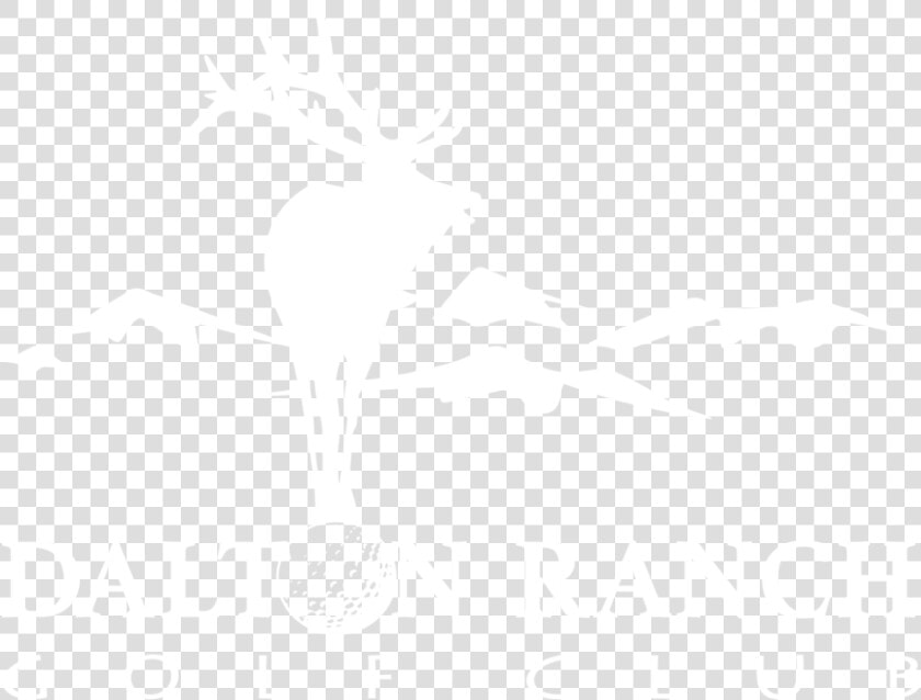 Dalton Ranch White Ihs Markit Logo White   Illustration  HD Png DownloadTransparent PNG