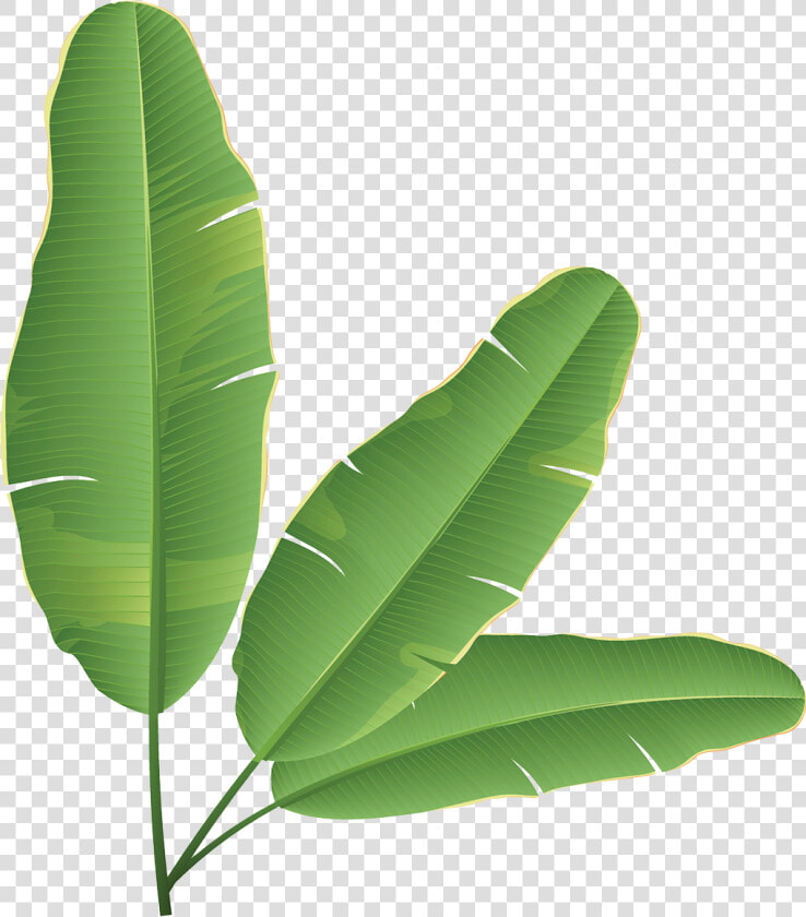 Banana Leaf Banana Bread Clip Art   Banana Leaves Clip Art  HD Png DownloadTransparent PNG