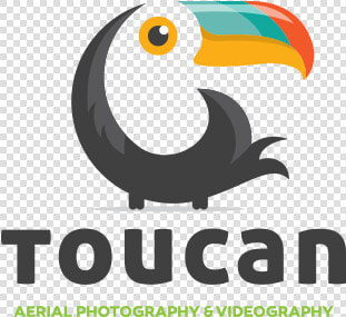 Toucan Logo Photo   Logo Toucan  HD Png DownloadTransparent PNG