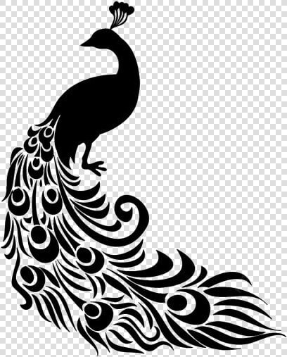 Peacock Silhouette Png  Peacock Feathers Png Image   Peacock Clipart Png  Transparent PngTransparent PNG