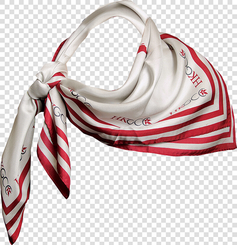 Scarf Png Image File   Scarf Transparent Scarf Png  Png DownloadTransparent PNG