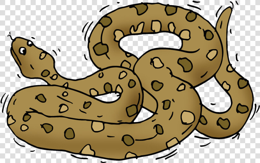 Anaconda Clipart  HD Png DownloadTransparent PNG