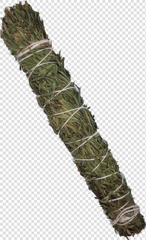 Native Australian Smudge Stick   Tree  HD Png DownloadTransparent PNG