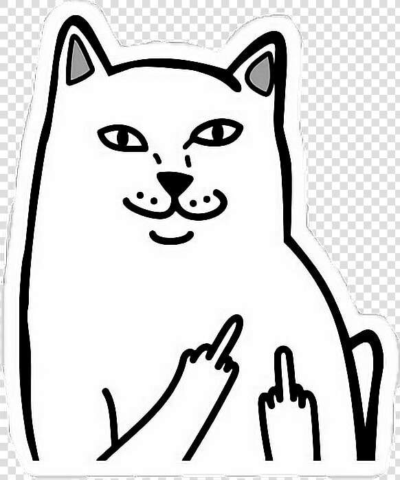  cat  fuckyou  fuckyeah  catfuck  fuckcat   Cat Flipping Off Meme  HD Png DownloadTransparent PNG