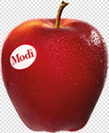 Mela Modì  HD Png DownloadTransparent PNG