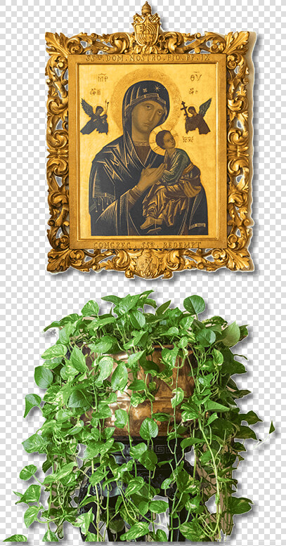 Our Mother Of Perpetual Help  HD Png DownloadTransparent PNG