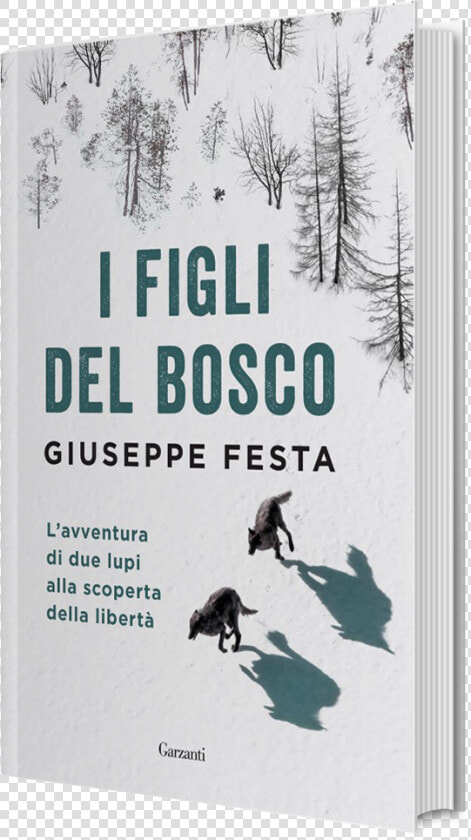 Figli Del Bosco  HD Png DownloadTransparent PNG