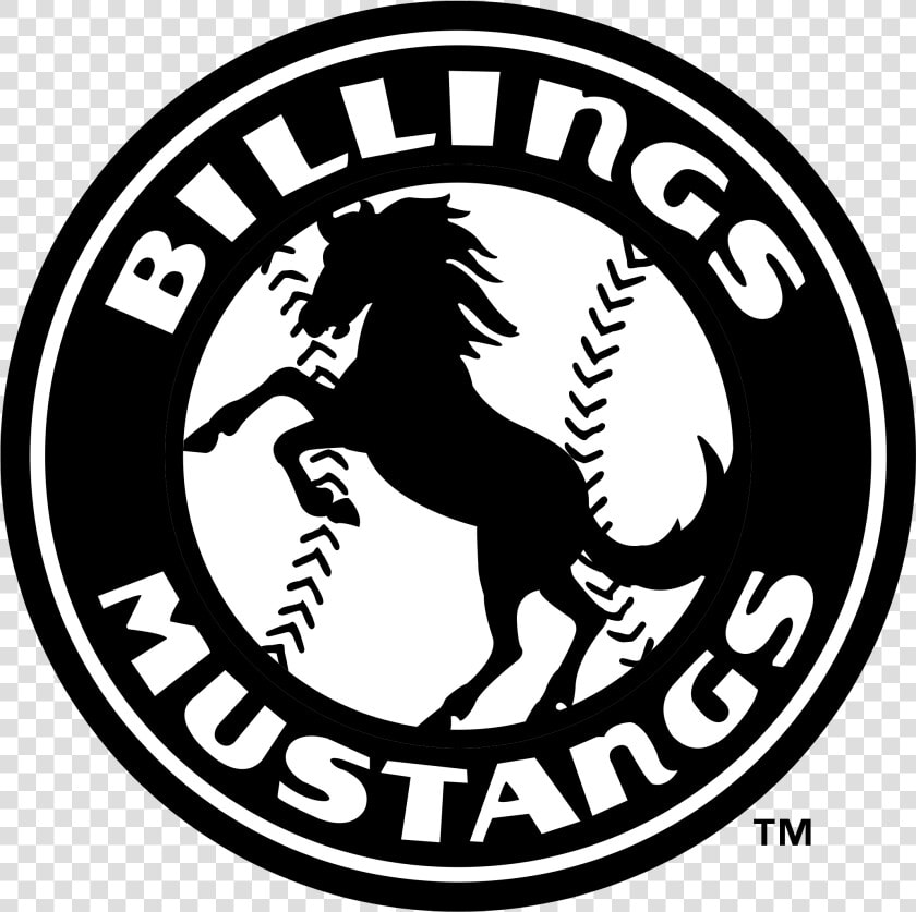 Billings Mt Mustangs Baseball  HD Png DownloadTransparent PNG