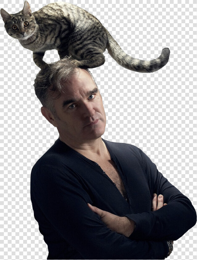 Morrissey Peta  HD Png DownloadTransparent PNG