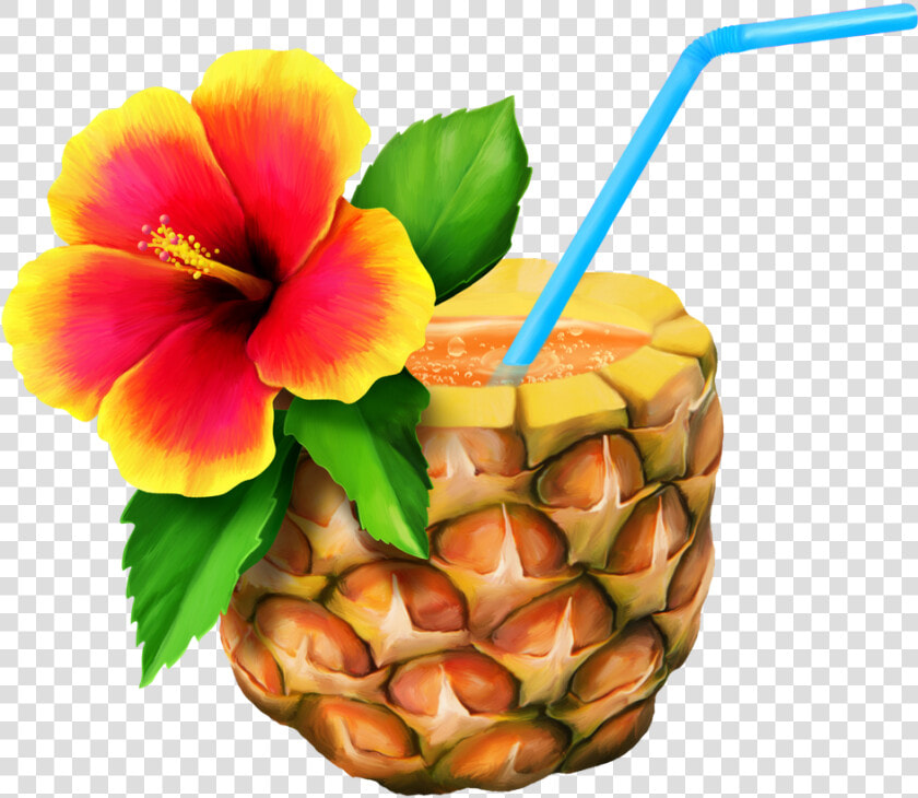 Drink Clipart Drink Hawaii   Hawaiian Png  Transparent PngTransparent PNG