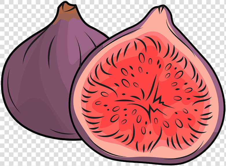 Figs Clipart   Red Onion  HD Png DownloadTransparent PNG