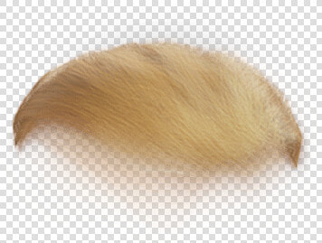 Donald Trump Hair Png Transparent   Blond  Png DownloadTransparent PNG