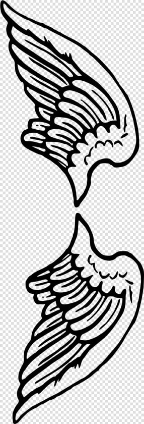 Alas De Angel En Png Dibujo  Transparent PngTransparent PNG