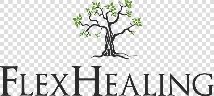 Flexhealing We Believe That If You Become A Better   Games Of Thrones Png  Transparent PngTransparent PNG