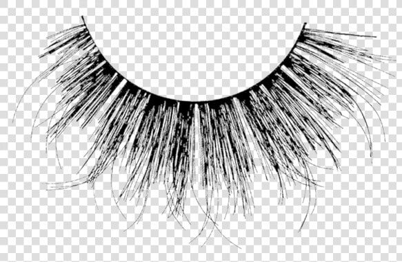 Eyelash Extensions  HD Png DownloadTransparent PNG