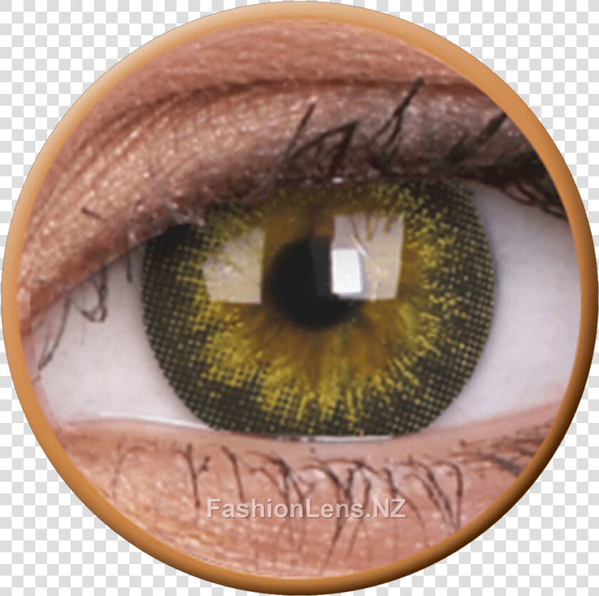 Contact Lenses Color Doll Eye Blue  HD Png DownloadTransparent PNG